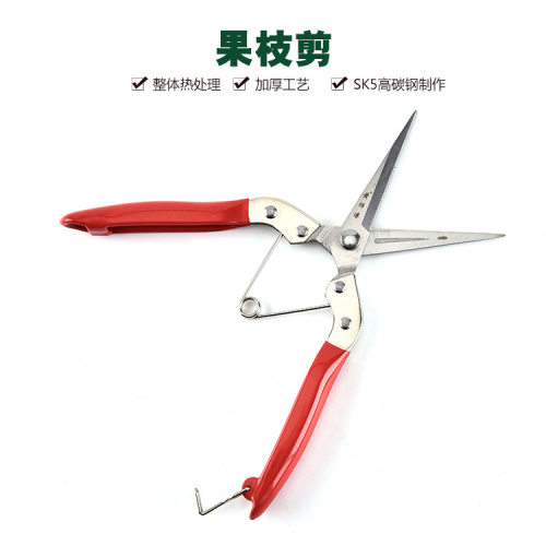 园林园艺园丁树枝修花修枝剪刀