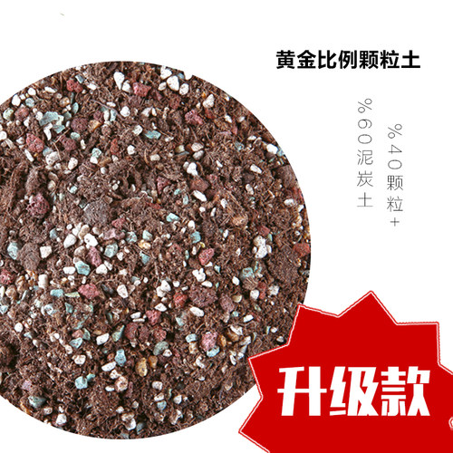 多肉植物营养土 全新升级配方泥炭种植土 颗粒土石子颗粒土赤玉土 - 封面