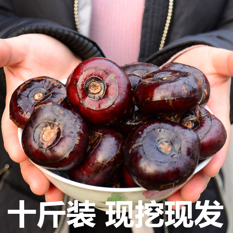 个大新鲜