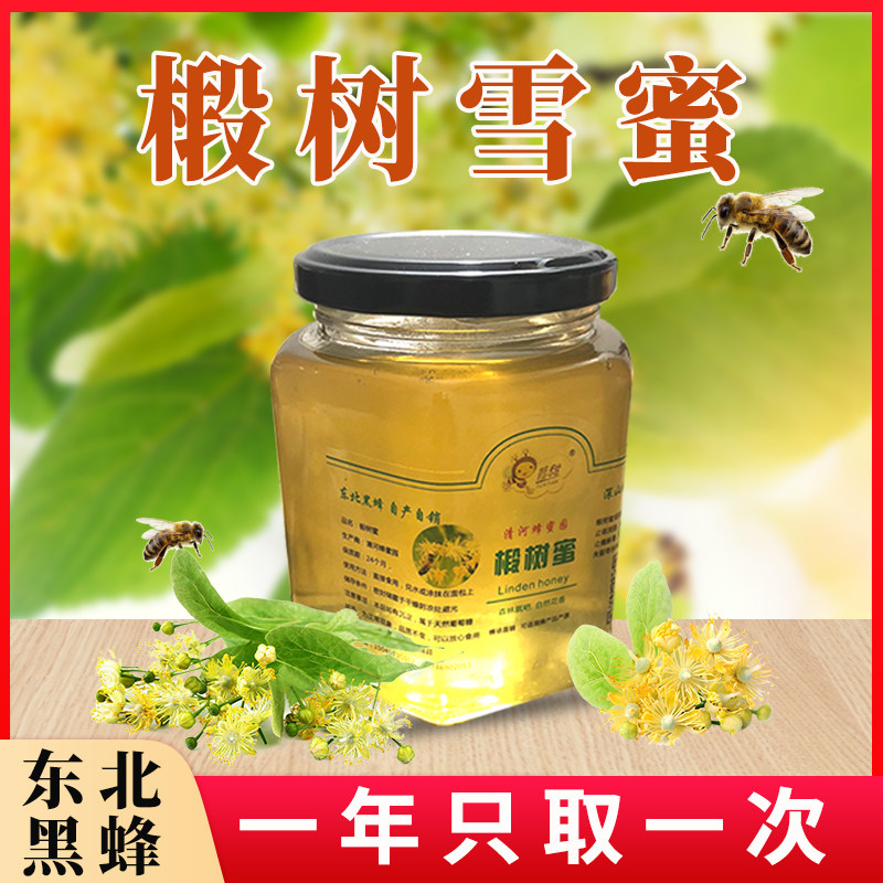 东北黑蜂椴树雪蜜农家自产原蜜纯正天然新蜜玻璃瓶500克43波美度