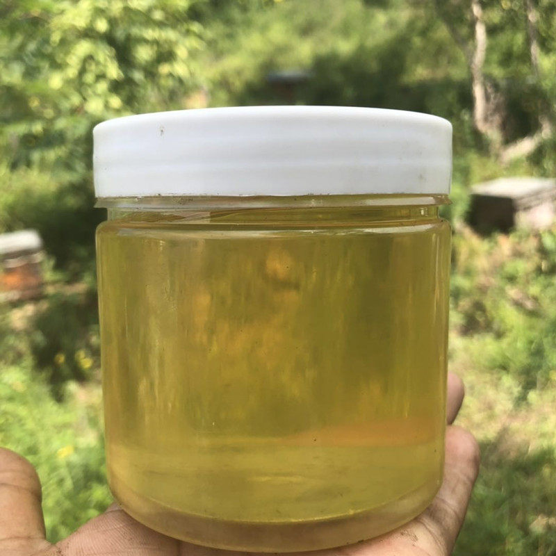 42波美度深山农家自产纯正天然新鲜椴树蜜东北黑蜂椴树雪蜜500克