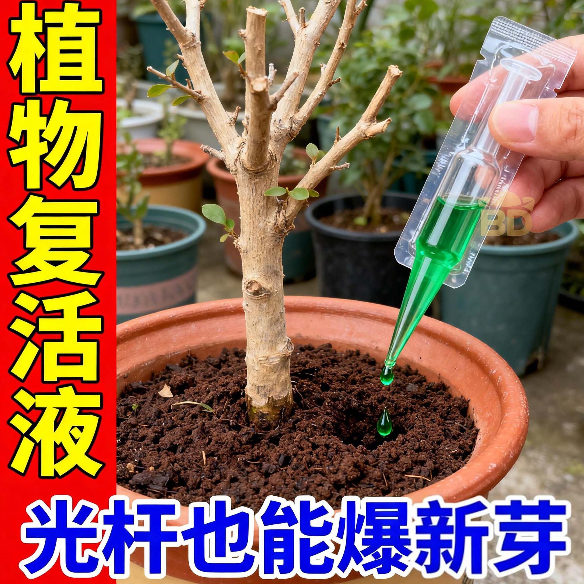 植物复活发财树花卉绿植再生盆栽通用光杆发黄多肉生长新型肥料