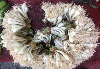 湖南藠头现挖新鲜带叶蔬菜