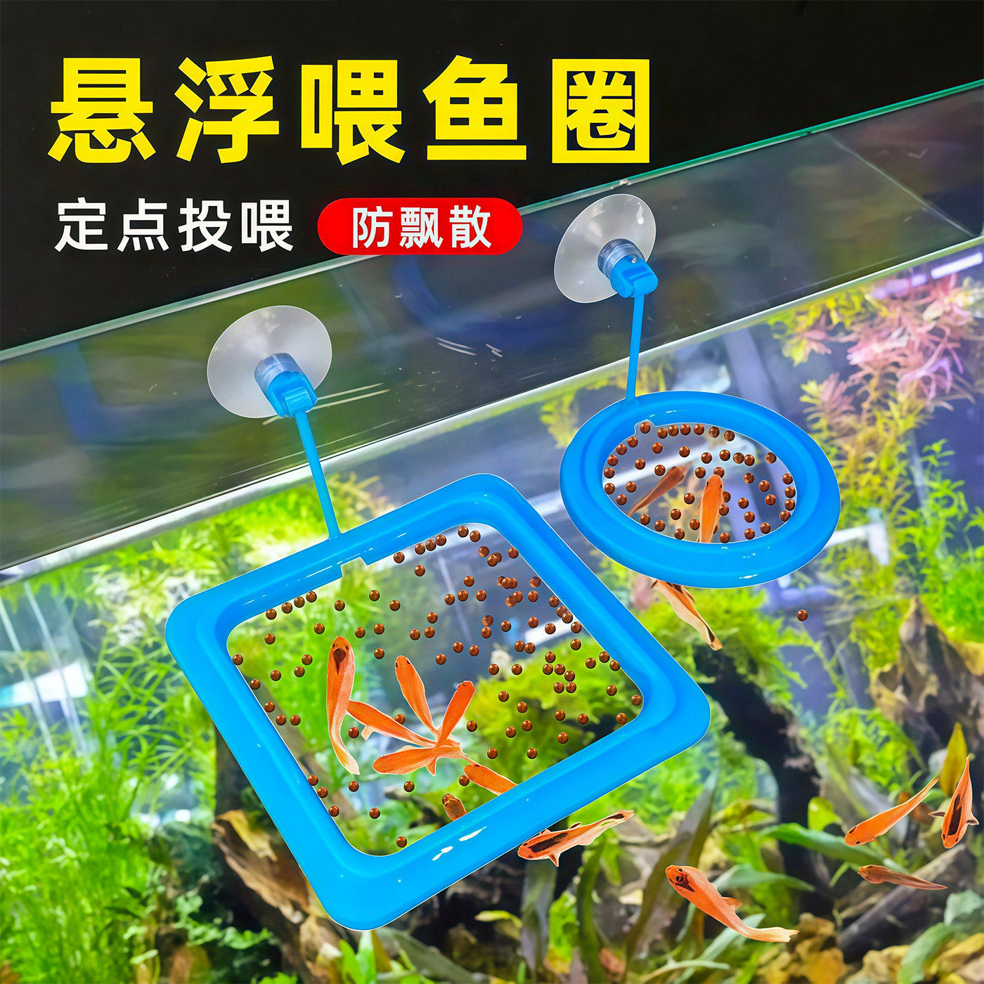 鱼缸喂食器投食器投食圈鱼食投喂器喂鱼饲料防飘散漂浮悬浮喂食圈
