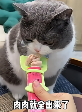 宠物猫条喂食器肉泥勺神器挤压营养条流质零食喂猫条专用勺进食器