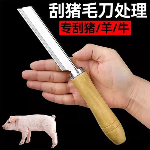 刮猪毛专用刀不锈钢锋利剃毛刀卖猪羊牛肉猪毛猪蹄猪脚刮刨毛神器
