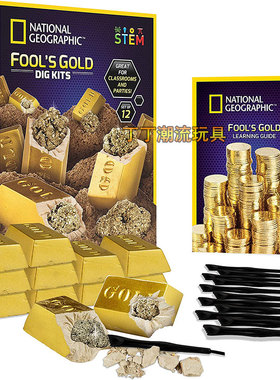 国家地理傻瓜挖金砖学校课室派对活动益智玩具正品 Fool's Gold