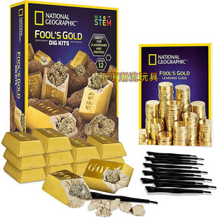 国家地理傻瓜挖金砖学校课室派对活动益智玩具正品 Fool's Gold
