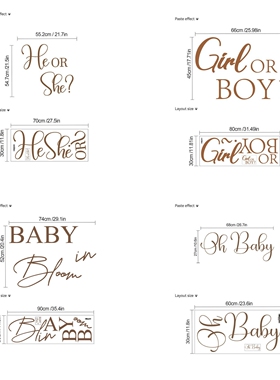 OH BABY BOY OR GIRL 宝宝性别揭示迎婴派对背景贴纸 BABY SHOWER
