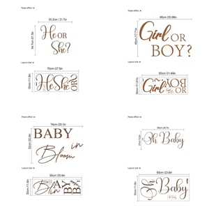 OH BABY BOY OR GIRL 宝宝性别揭示迎婴派对背景贴纸 BABY SHOWER