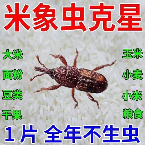 家用粮虫清净粮食防虫剂玉米面粉大米谷物药材除米虫仓储防生虫剂 - 封面