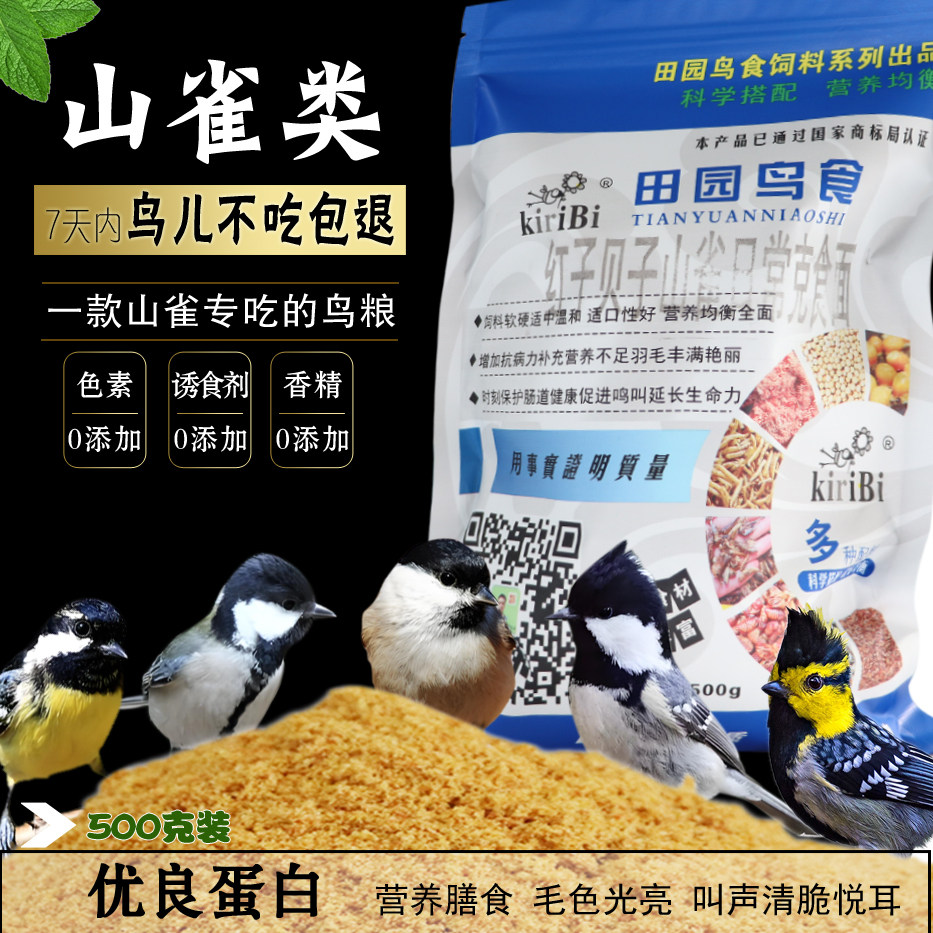 红子贝子点子白头翁山雀包邮克装