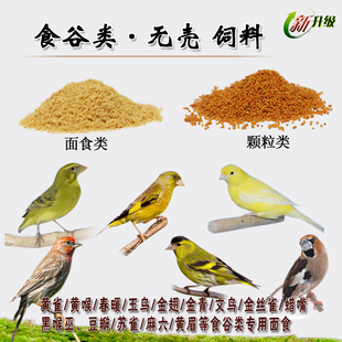 无壳食谷类黄雀专用面食素食玉鸟金翅金青灰雁白燕等素食鸟类