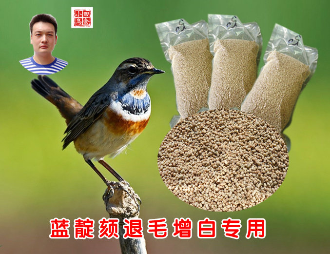 蓝靛颏、蓝脖、退毛专用日用食，增白亮白、不亏膘　北京小田鸟食