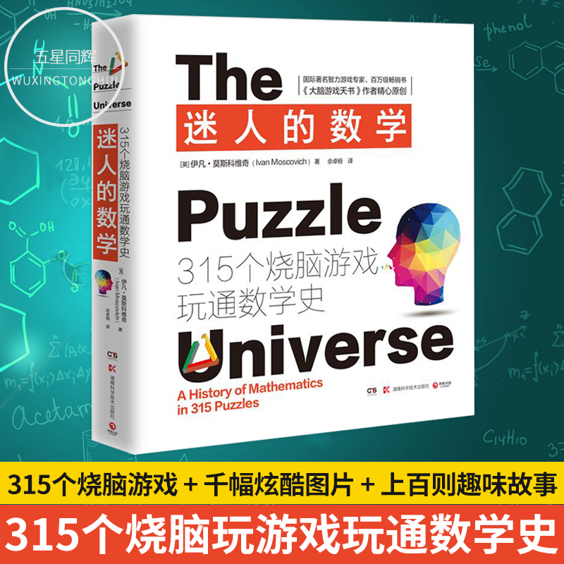 正版包邮迷人的数学伊凡莫斯科维奇 315个经典游戏开发大脑潜能玩通数学史大脑游戏天书数学益智游戏书籍数学头脑开发体操书-封面