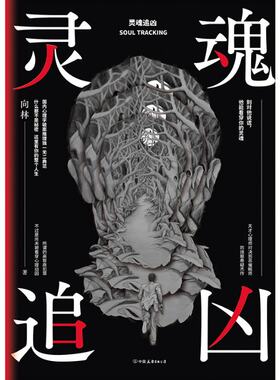 灵魂追凶向林中国友谊出版社9787505744967