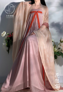 花想容 唐制一片式 齐胸襦裙大袖 月笙朝歌 衫 印花复原汉服女新品