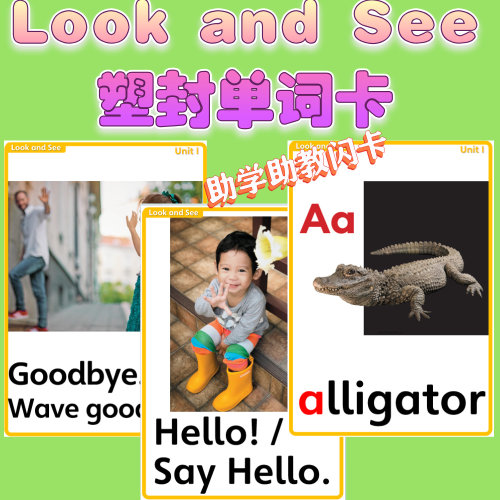 国家地理Look and See看世界塑封闪卡英语单词学习卡片英文教具