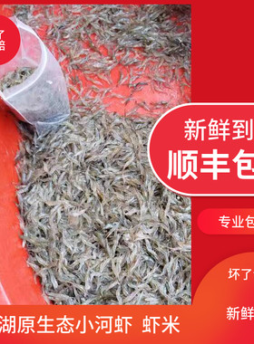 1斤装小河虾活冻淡水活虾速冻小白虾草虾明虾青虾虾米可食用补钙