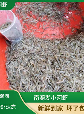 1斤装小河虾活冻淡水活虾速冻小白虾草虾明虾青虾虾米可食用补钙