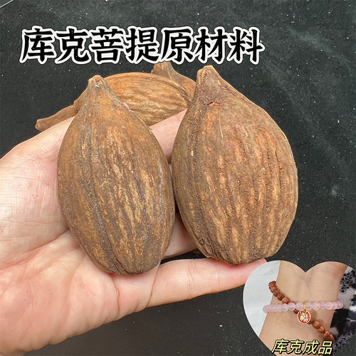精品库克菩提原料原材料原籽