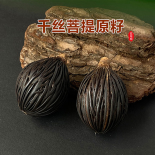 千丝菩提原籽狐尾椰子种子男女diy配件文玩手把件钥匙扣