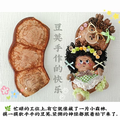 云南过江龙榼藤大豆荚盲盒材料包