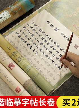 小楷临摹字帖上林赋长卷国学兰亭序洛神赋滕王阁序楷体成人练字入门初学者钢笔式毛笔楷书描红帖书法练习纸