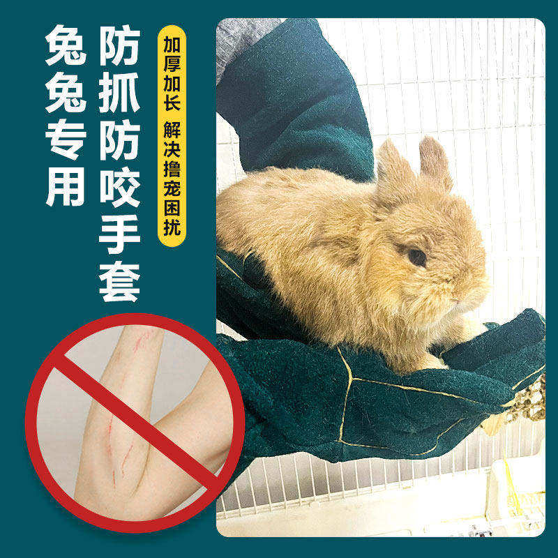 兔子防咬手套宠物防咬手套仓鼠龙猫喂养加厚防抓伤训宠专用手套