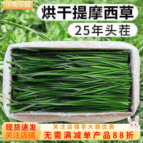 宠界好草小兔家25年北提草段