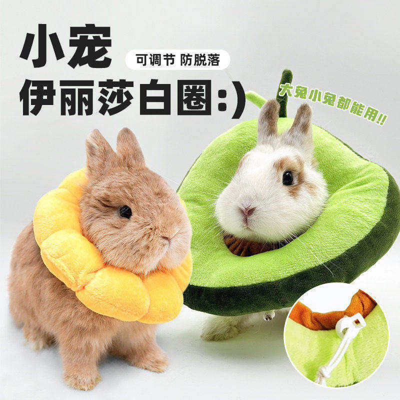 兔子伊丽莎白圈宠物防咬项圈龙猫豚鼠防抓咬脖套甜甜圈皮肤病
