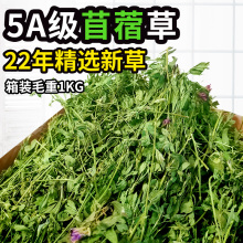 烘干苜蓿草兔子龙猫粮食苜蓿草干草荷兰猪牧草粮毛重1KG 新草