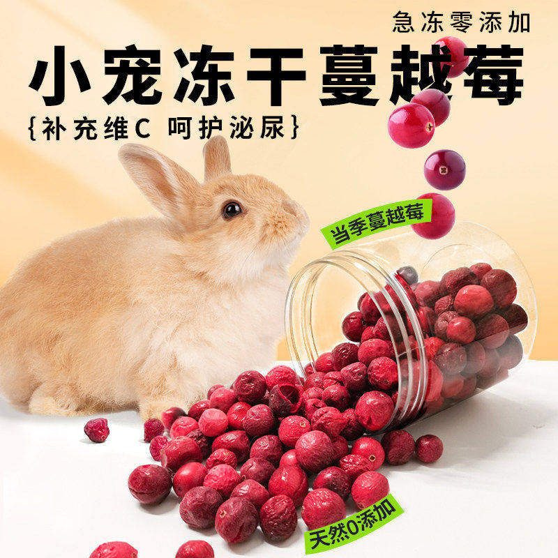 兔子水果干兔子零食冻干蔓越莓磨牙补充营养助消化荷兰猪龙猫零食