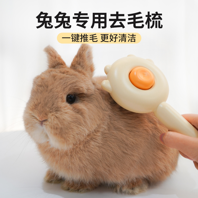 兔子梳毛器兔毛梳子侏儒兔垂耳兔龙猫梳毛器去浮毛按摩清洁用品
