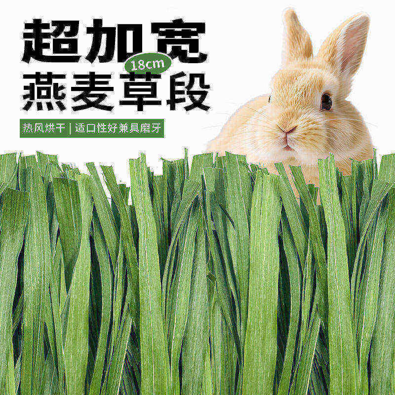燕麦草烘干兔子草纯叶草段高纤维补充营养草饲料豚鼠荷兰猪干草