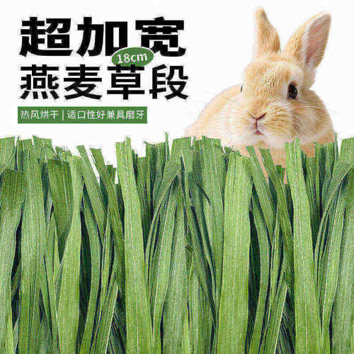 燕麦草烘干兔子草纯叶草段草饲料