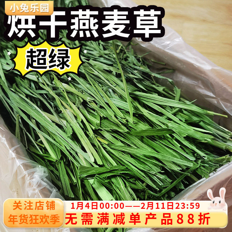 精选燕麦草烘干叶多香绿富含纤维箱装净重500g兔子龙猫干草牧草,宠物/宠物食品及用品,兔兔干草,淘宝优惠券,粉丝福利购,淘宝优惠卷