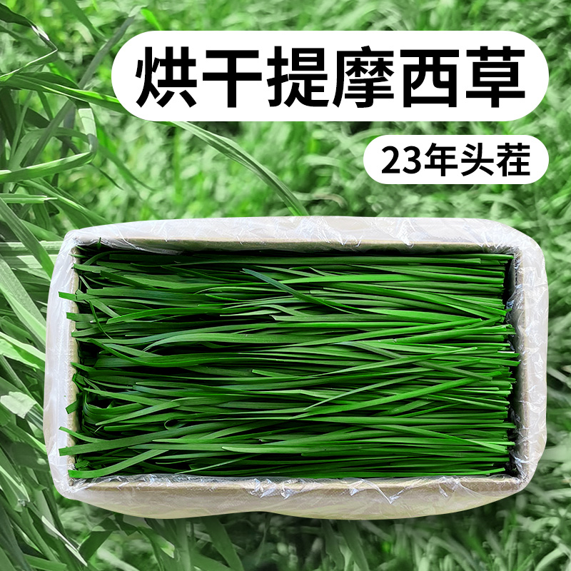 宠界好草小兔家23年北提草段