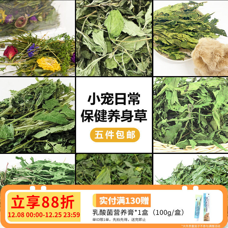 兔兔保健草薄荷叶菊苣草蒲公英干草试吃兔子龙猫清热去火家中常备