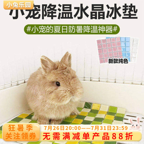 小宠降温水晶冰垫马卡龙色超强效