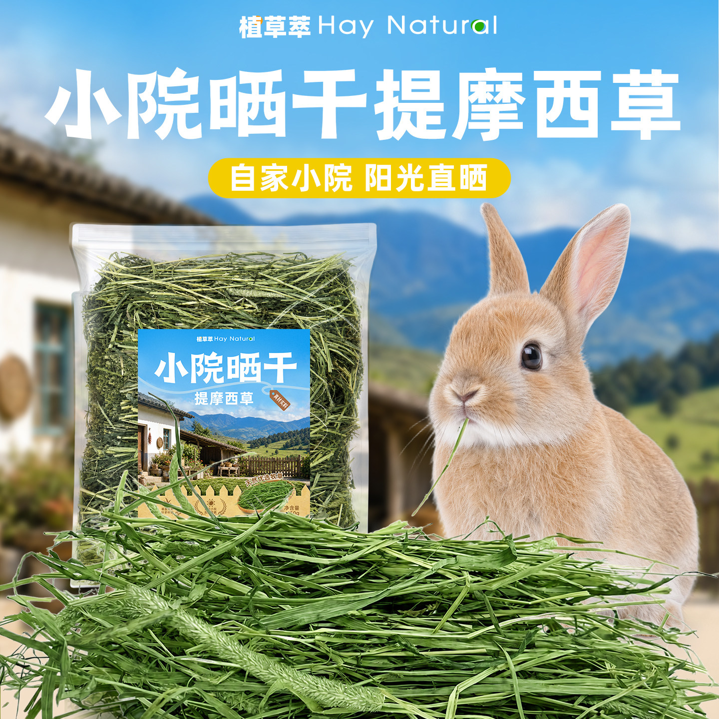 晒干提摩西草26年新草高纤维