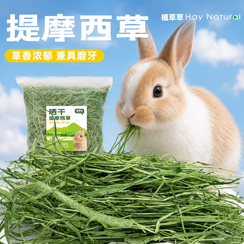 晒干提摩西草26年新草高纤维