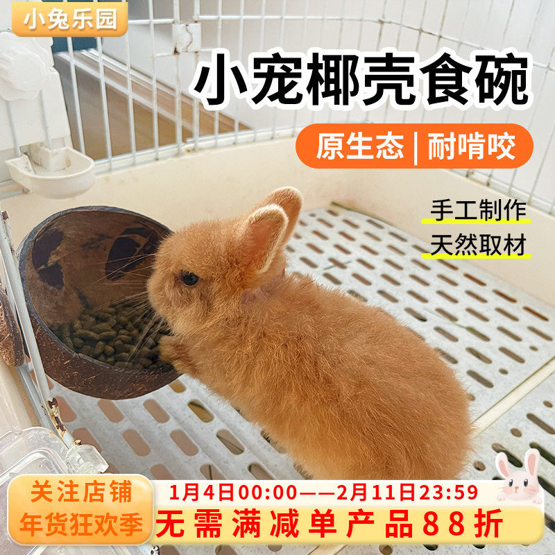 兔子食盆天然椰壳自动喂食器食盒料槽龙猫固定挂式防扒翻碗食碗,宠物/宠物食品及用品,兔兔食盆,淘宝优惠券,粉丝福利购,淘宝优惠卷