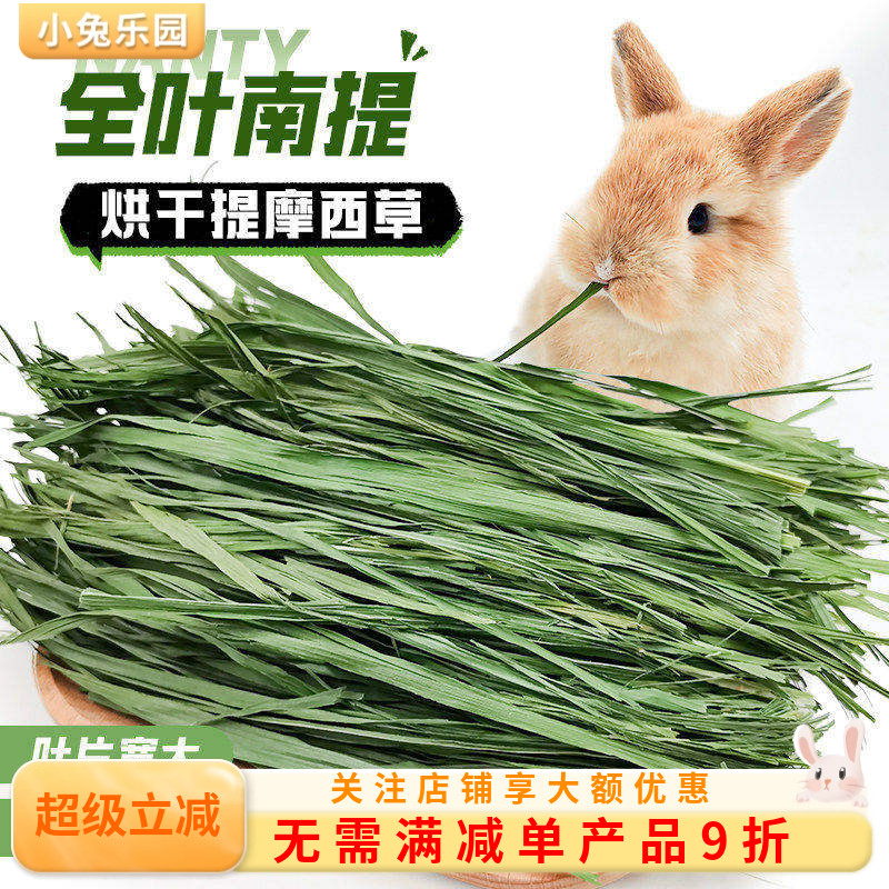 南提摩西草宽大叶片柔软细嫩