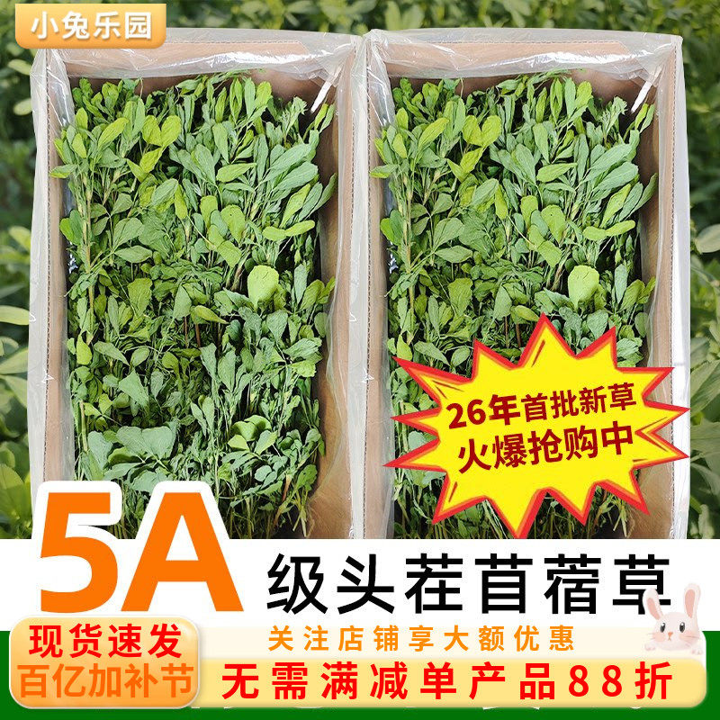 26年新苜蓿草兔子粮草苜蓿草食用草兔粮龙猫粮草干草荷兰猪苜宿草