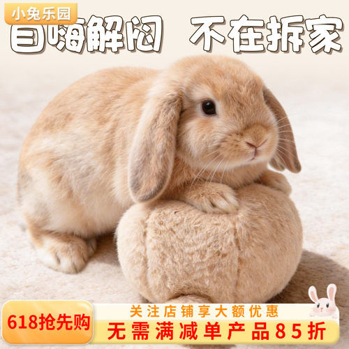 兔子玩具解闷发情自嗨发情球