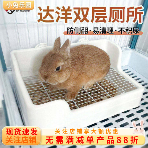 达洋兔子厕所大号防掀翻好清理