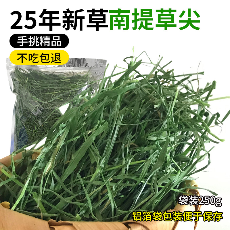 7A级南提提摩西草超绿全叶无杆