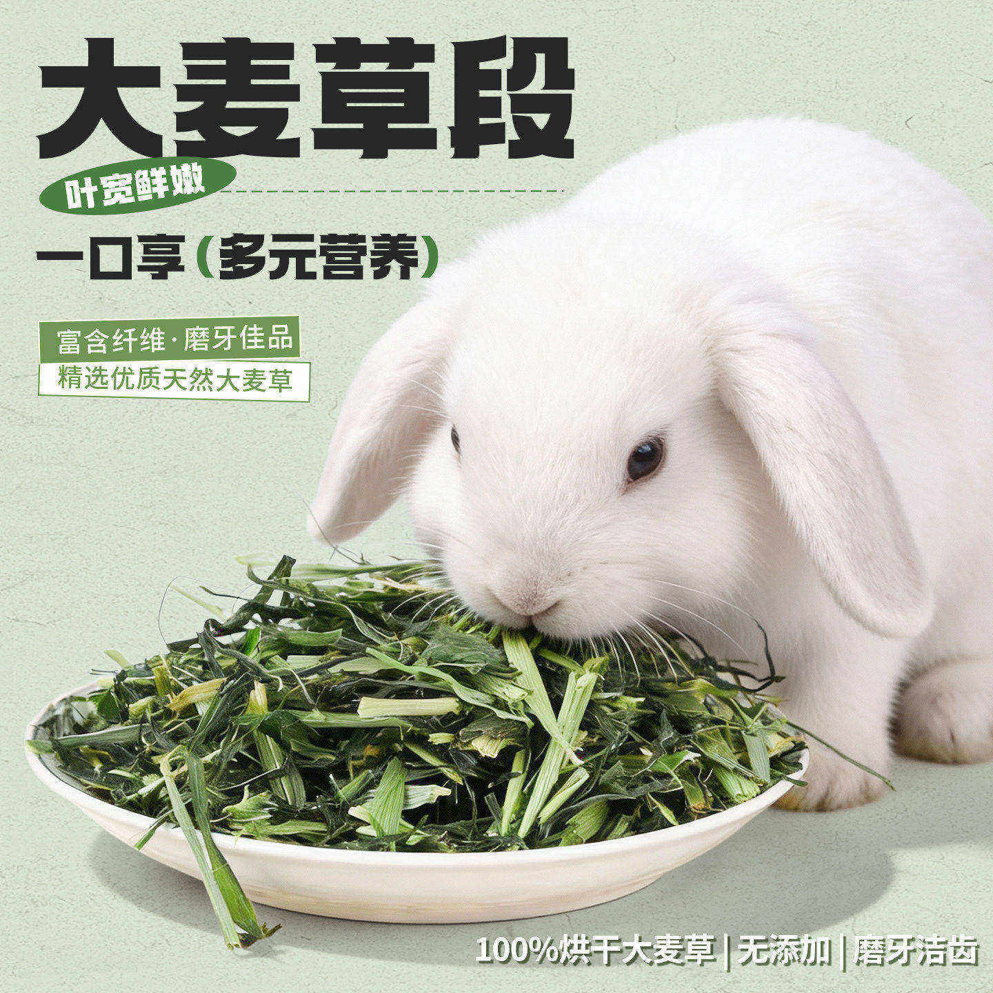 25年新大麦草段兔子龙猫豚鼠天竺鼠荷兰猪干草饲料大麦草段250G