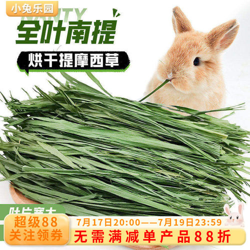 南提摩西草宽大叶片柔软细嫩